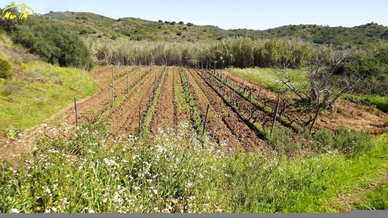 Terreno Agricola ou Rústico para Venda em Castro Marim Foto 33