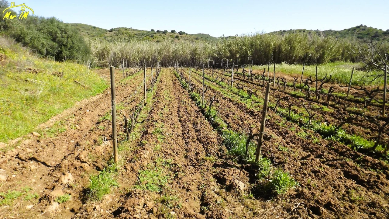 Terreno Agricola ou Rústico para Venda em Castro Marim Foto 2