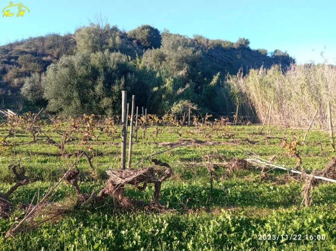Terreno Agricola ou Rústico para Venda em Castro Marim Foto 1
