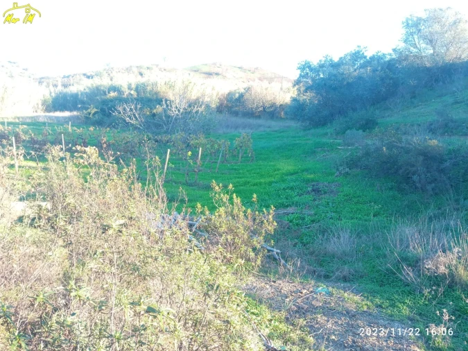 Terreno Agricola ou Rústico para Venda em Castro Marim Foto 11