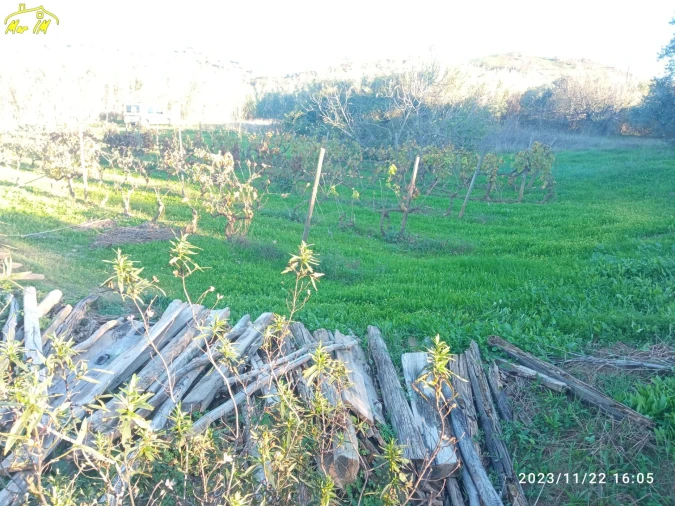 Terreno Agricola ou Rústico para Venda em Castro Marim Foto 12