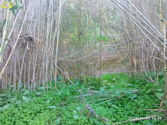 Terreno Agricola ou Rústico para Venda em Castro Marim Foto 13