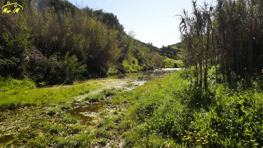 Terreno Agricola ou Rústico para Venda em Castro Marim Foto 17