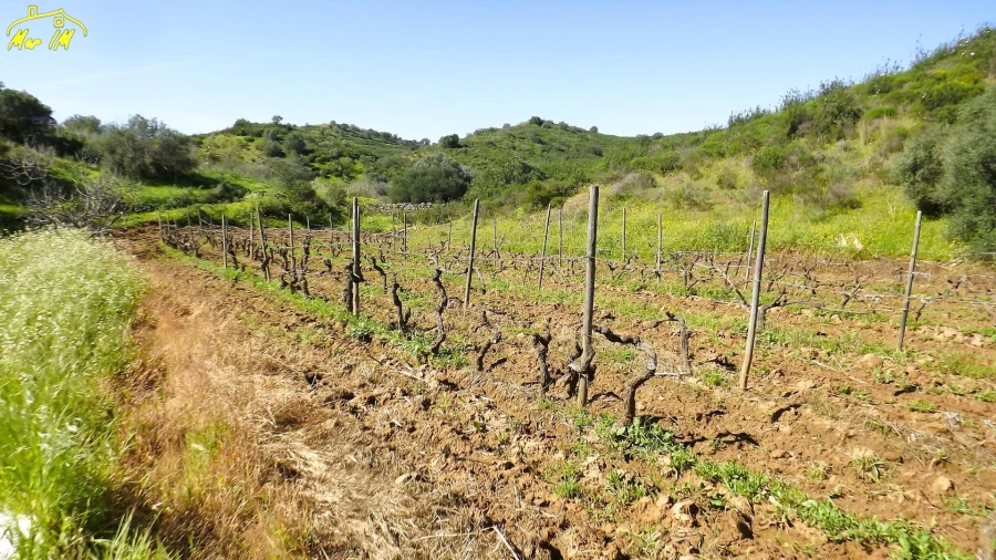 Terreno Agricola ou Rústico para Venda em Castro Marim Foto 21