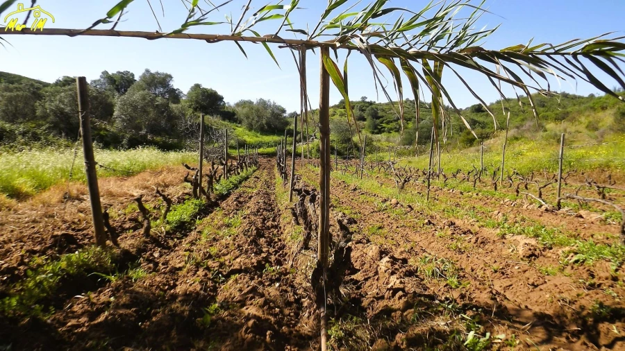 Terreno Agricola ou Rústico para Venda em Castro Marim Foto 22