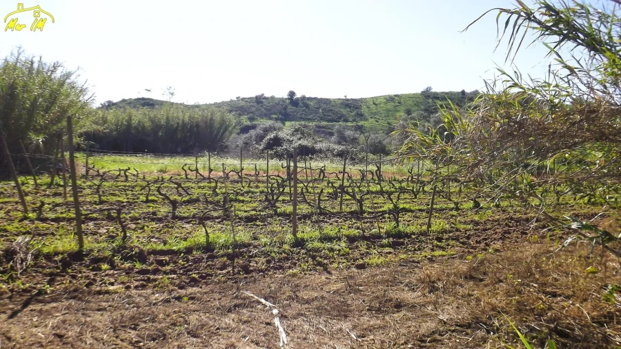 Terreno Agricola ou Rústico para Venda em Castro Marim Foto 25