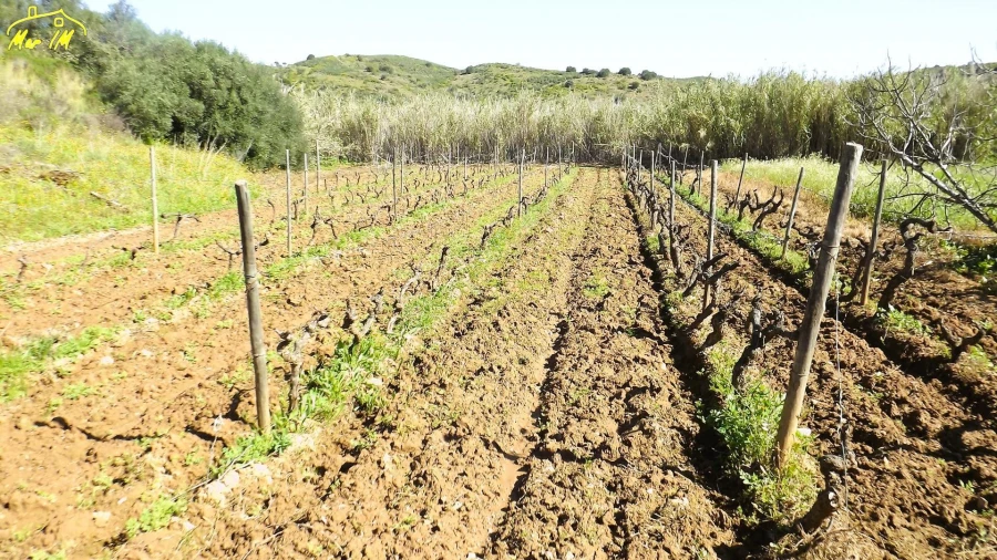 Terreno Agricola ou Rústico para Venda em Castro Marim Foto 28