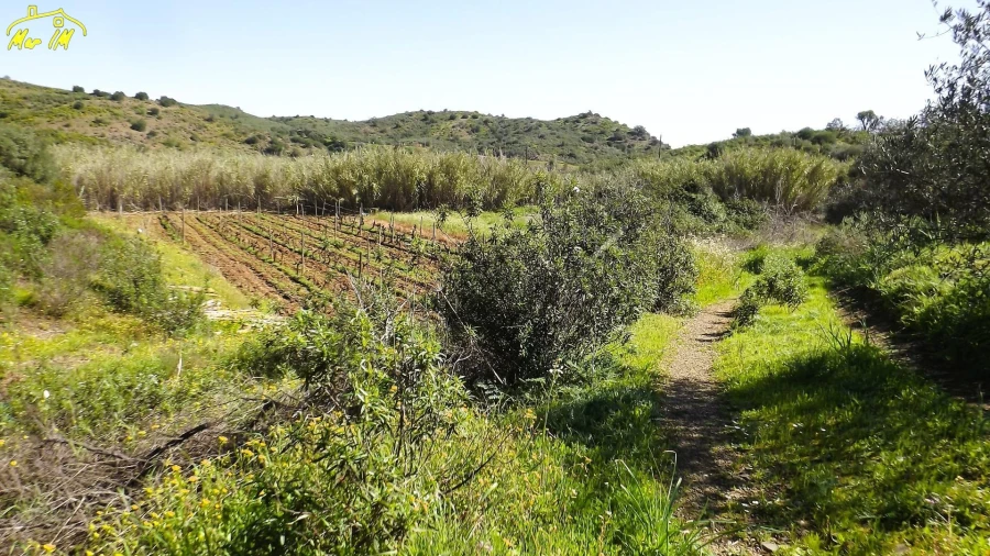 Terreno Agricola ou Rústico para Venda em Castro Marim Foto 30