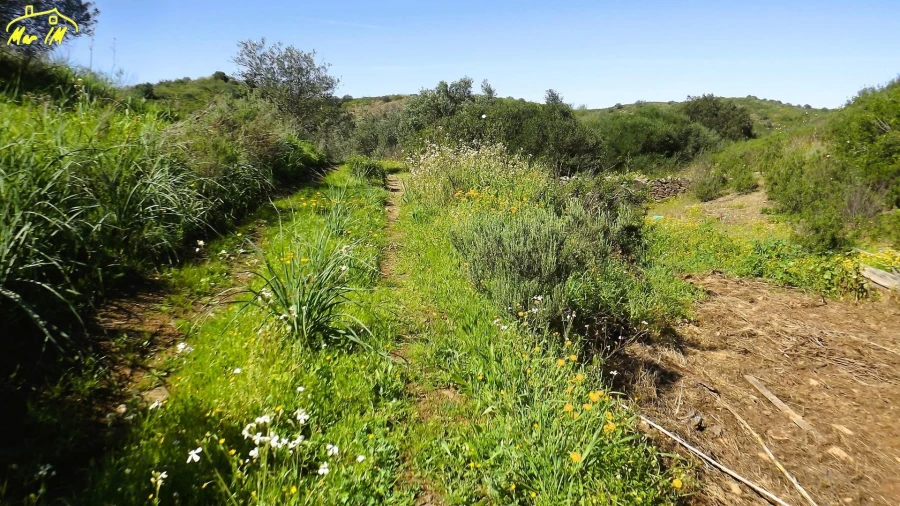 Terreno Agricola ou Rústico para Venda em Castro Marim Foto 34
