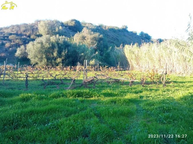 Terreno Agricola ou Rústico para Venda em Castro Marim Foto 5