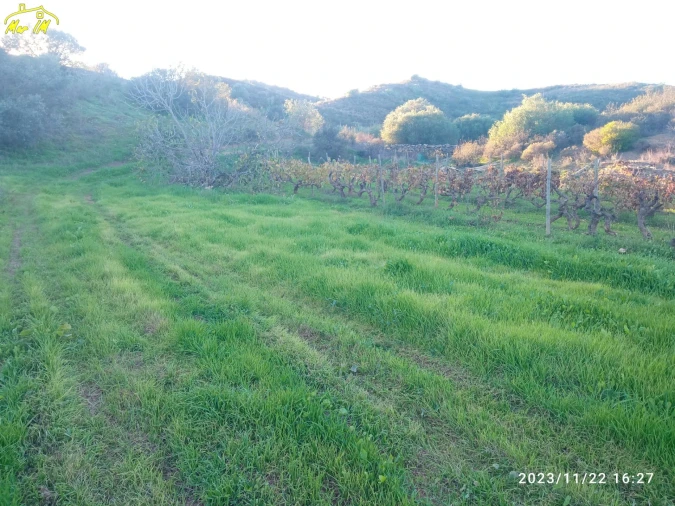 Terreno Agricola ou Rústico para Venda em Castro Marim Foto 6