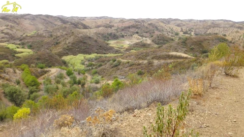 Terreno Agricola ou Rústico para Venda em Castro Marim
