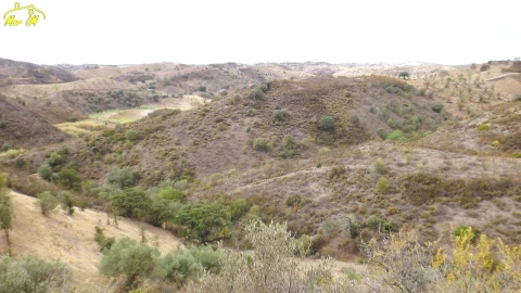 Terreno Agricola ou Rústico para Venda em Castro Marim
