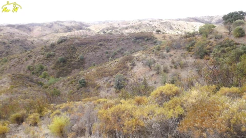 Terreno Agricola ou Rústico para Venda em Castro Marim