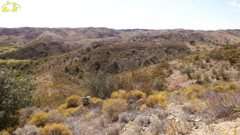 Terreno Agricola ou Rústico para Venda em Castro Marim