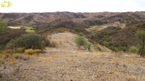 Terreno Agricola ou Rústico para Venda em Castro Marim
