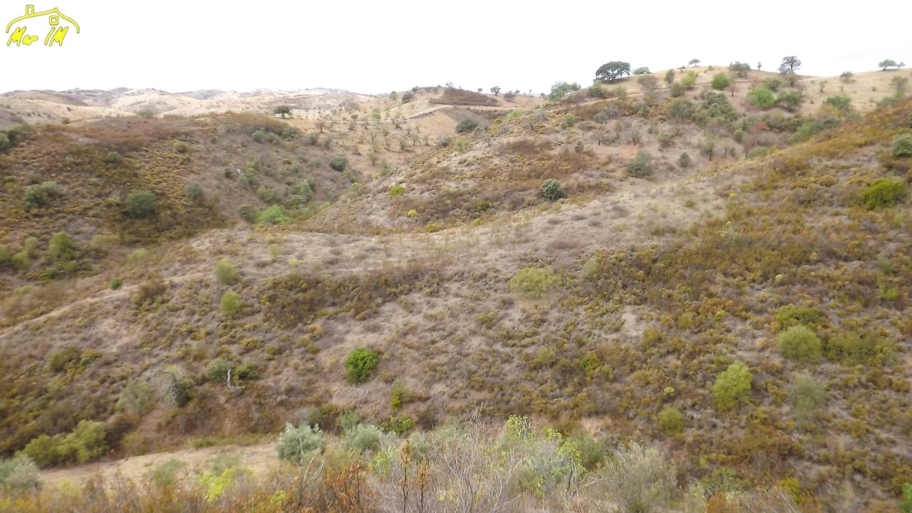 Terreno Agricola ou Rústico para Venda em Castro Marim Foto 8