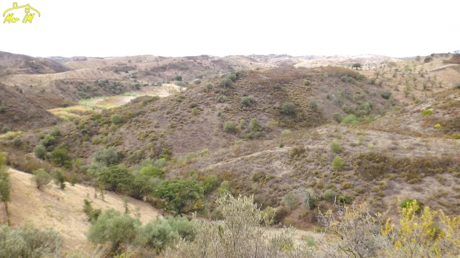 Terreno Agricola ou Rústico para Venda em Castro Marim Foto 10