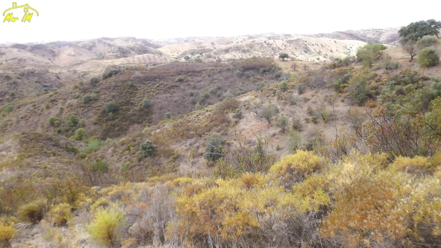 Terreno Agricola ou Rústico para Venda em Castro Marim Foto 12