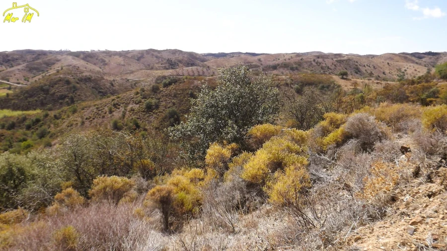Terreno Agricola ou Rústico para Venda em Castro Marim Foto 14