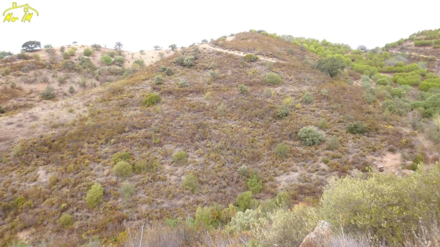 Terreno Agricola ou Rústico para Venda em Castro Marim Foto 9