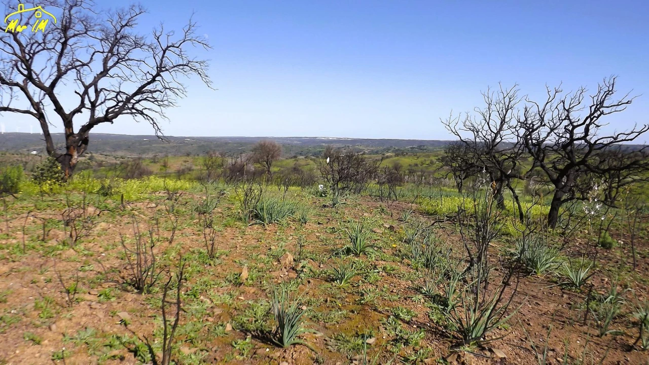 Terreno Agricola ou Rústico para Venda em Castro Marim Foto 13