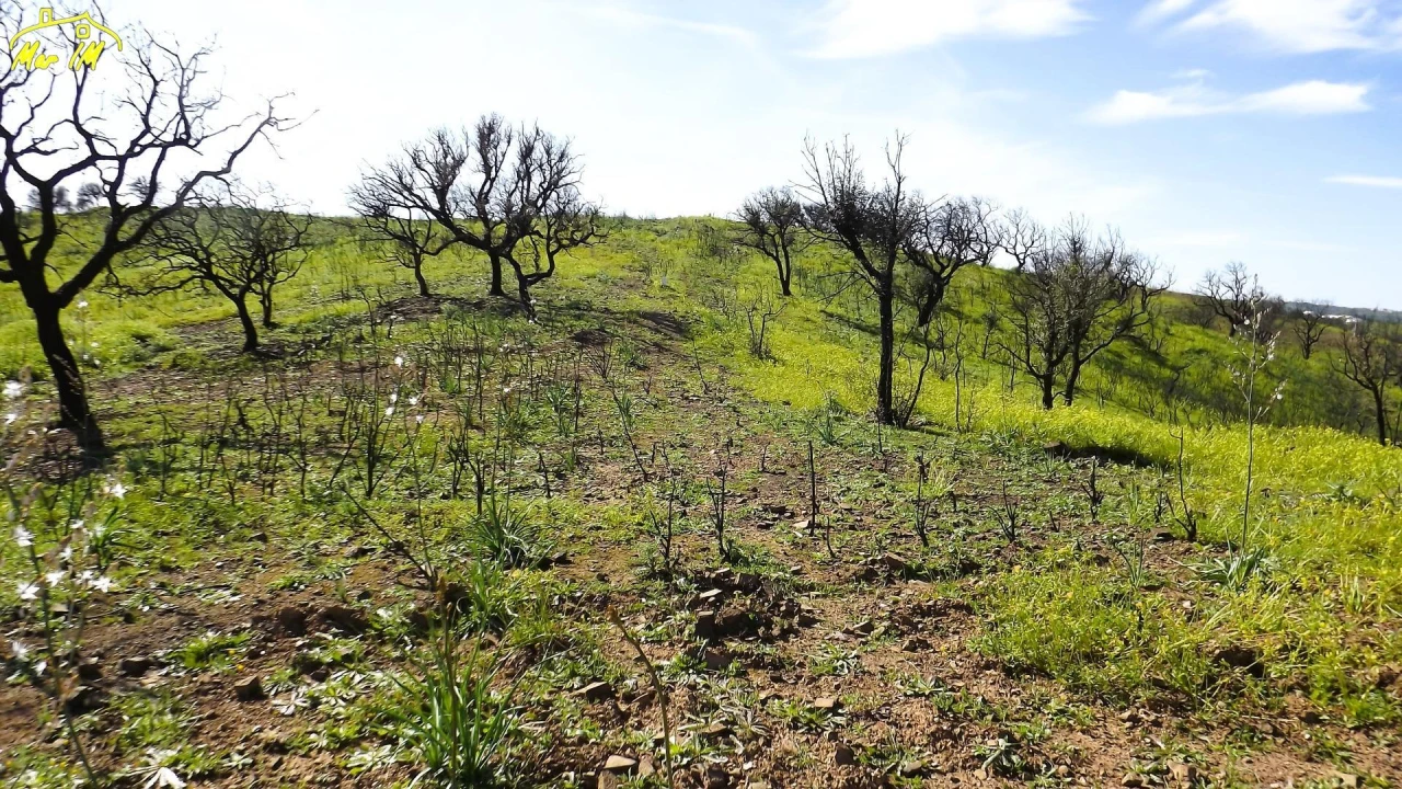 Terreno Agricola ou Rústico para Venda em Castro Marim Foto 15