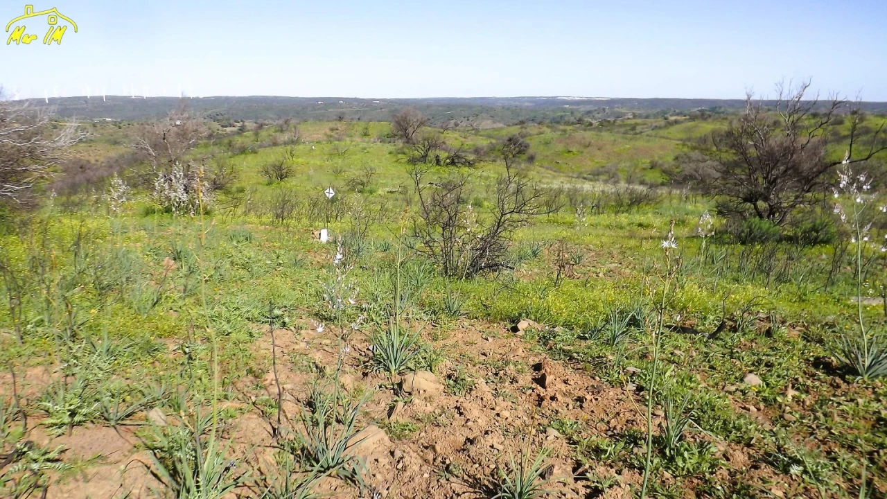 Terreno Agricola ou Rústico para Venda em Castro Marim Foto 16