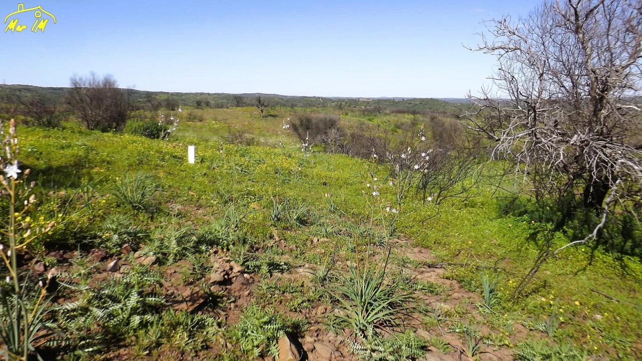 Terreno Agricola ou Rústico para Venda em Castro Marim Foto 4
