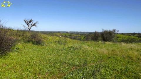 Terreno Agricola ou Rústico para Venda em Castro Marim