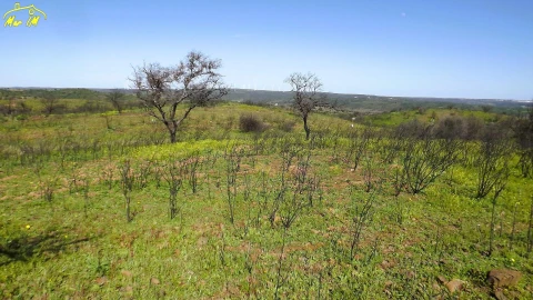 Terreno Agricola ou Rústico para Venda em Castro Marim