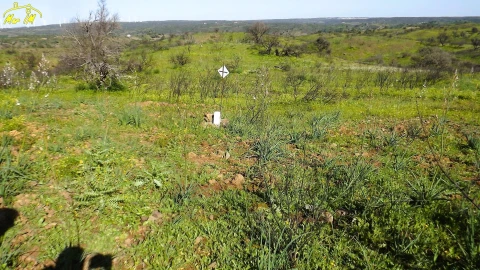 Terreno Agricola ou Rústico para Venda em Castro Marim
