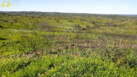 Terreno Agricola ou Rústico para Venda em Castro Marim