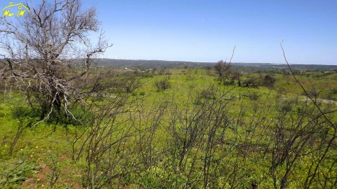 Terreno Agricola ou Rústico para Venda em Castro Marim