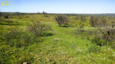 Terreno Agricola ou Rústico para Venda em Castro Marim