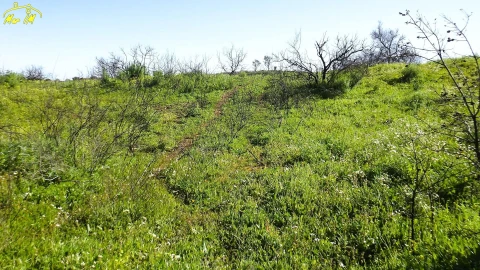 Terreno Agricola ou Rústico para Venda em Castro Marim