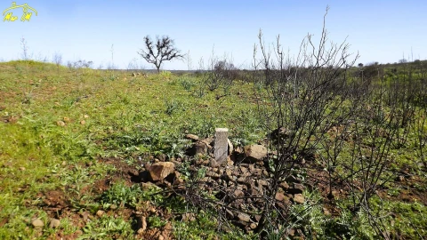 Terreno Agricola ou Rústico para Venda em Castro Marim