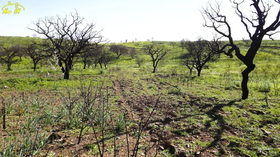 Terreno Agricola ou Rústico para Venda em Castro Marim Foto 14