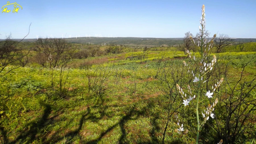 Terreno Agricola ou Rústico para Venda em Castro Marim Foto 19