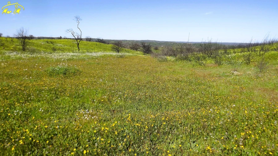 Terreno Agricola ou Rústico para Venda em Castro Marim Foto 2