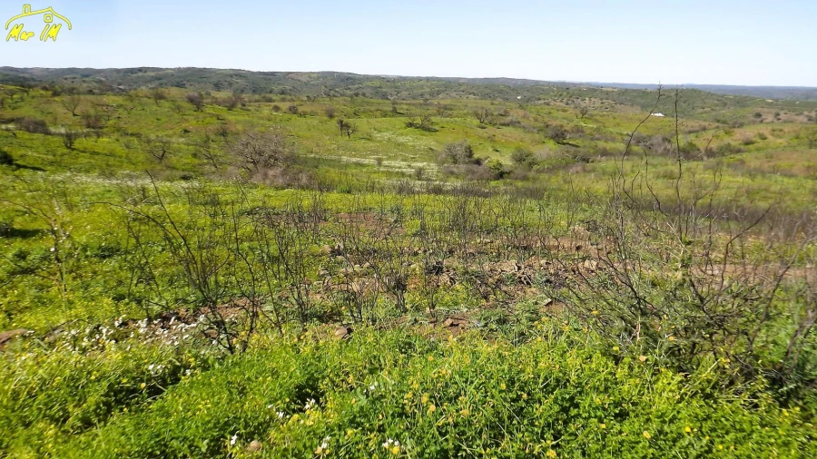 Terreno Agricola ou Rústico para Venda em Castro Marim Foto 21