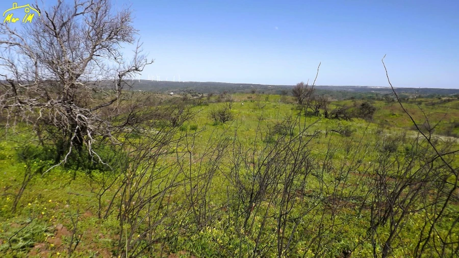 Terreno Agricola ou Rústico para Venda em Castro Marim Foto 3