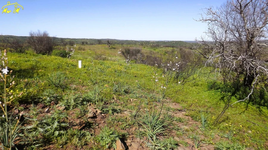 Terreno Agricola ou Rústico para Venda em Castro Marim Foto 4