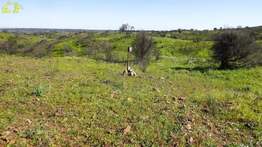 Terreno Agricola ou Rústico para Venda em Castro Marim Foto 8