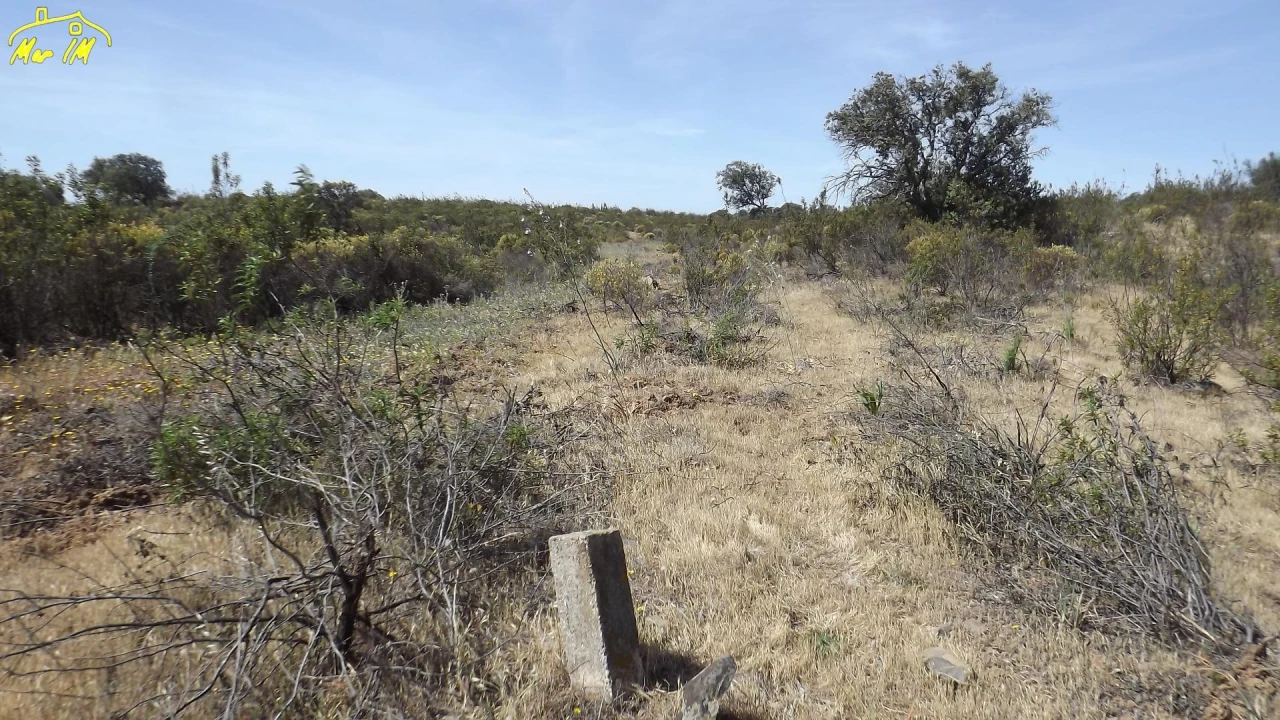 Terreno Agricola ou Rústico para Venda em Azinhal Foto 1