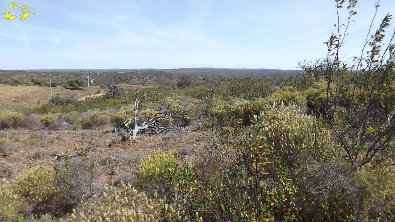 Terreno Agricola ou Rústico para Venda em Azinhal Foto 12