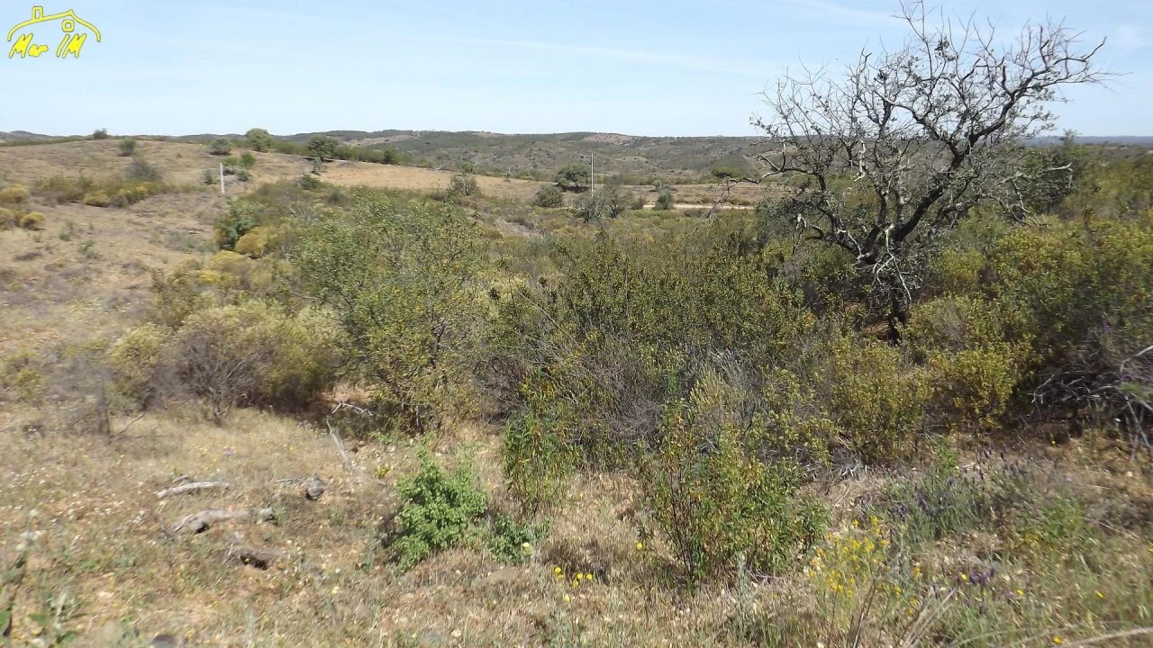 Terreno Agricola ou Rústico para Venda em Azinhal Foto 19