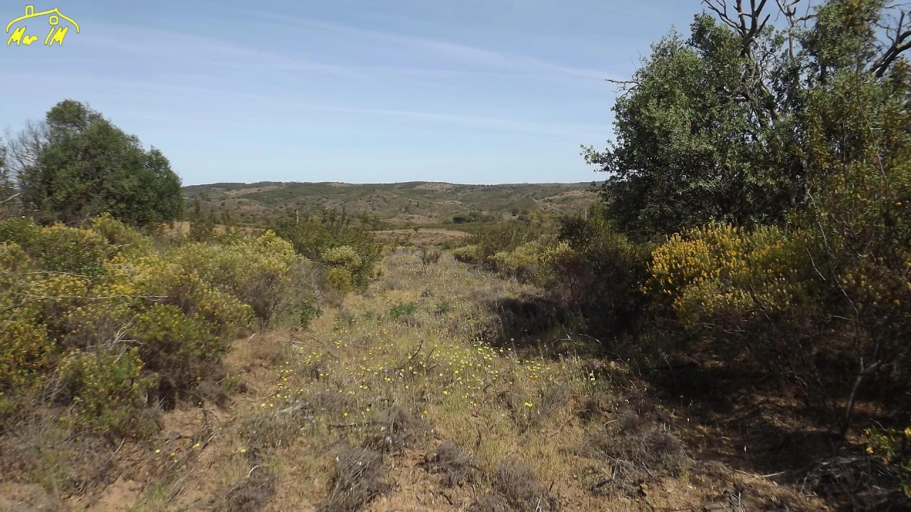 Terreno Agricola ou Rústico para Venda em Azinhal Foto 23