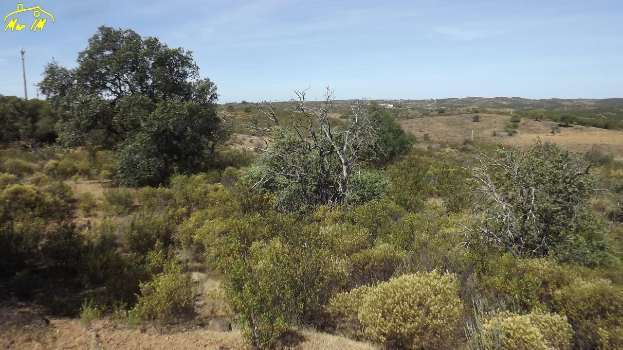 Terreno Agricola ou Rústico para Venda em Azinhal Foto 24