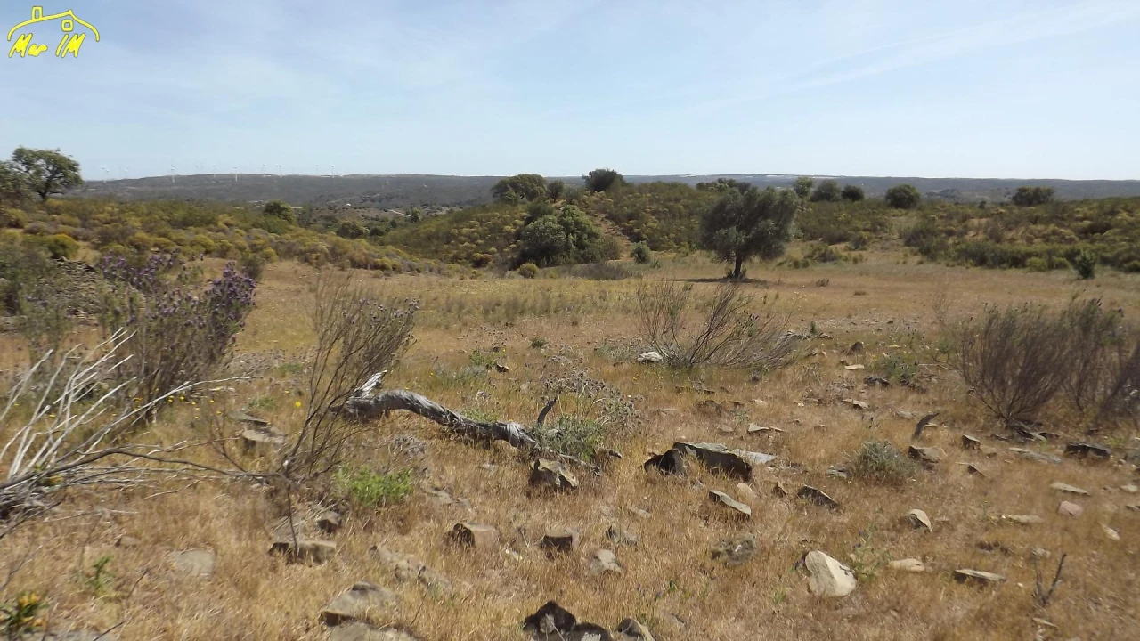 Terreno Agricola ou Rústico para Venda em Azinhal Foto 27